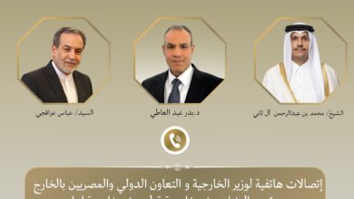 وزير الخارجية يتواصل مع رئيس وزراء قطر ووزير خارجية إيران