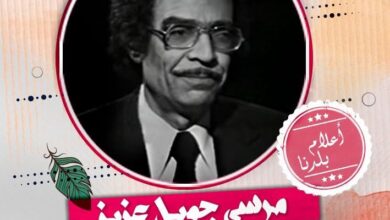 مرسي جميل عزيز
