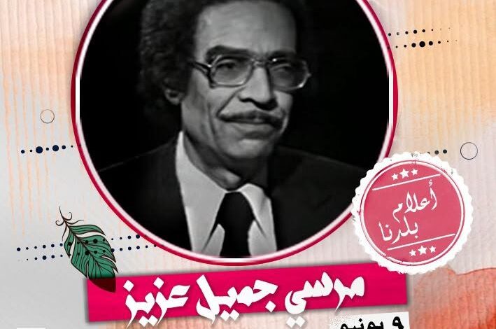 مرسي جميل عزيز